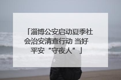 淄博公安启动夏季社会治安清查行动 当好平安“守夜人”