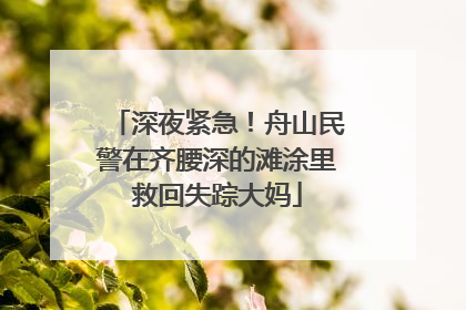 深夜紧急！舟山民警在齐腰深的滩涂里救回失踪大妈