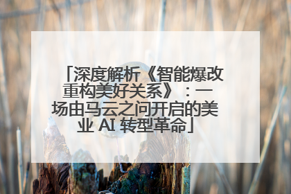 深度解析《智能爆改 重构美好关系》：一场由马云之问开启的美业 AI 转型革命