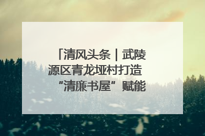 清风头条｜武陵源区青龙垭村打造“清廉书屋”赋能乡村振兴新风尚