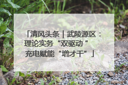 清风头条｜武陵源区：理论实务“双驱动 ” 充电赋能“增才干”