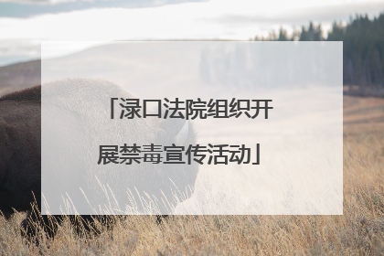 渌口法院组织开展禁毒宣传活动