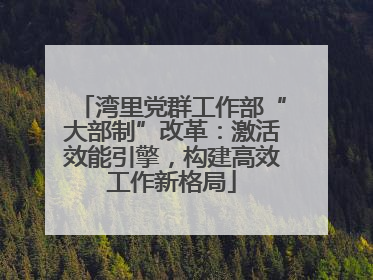 湾里党群工作部“大部制”改革：激活效能引擎，构建高效工作新格局