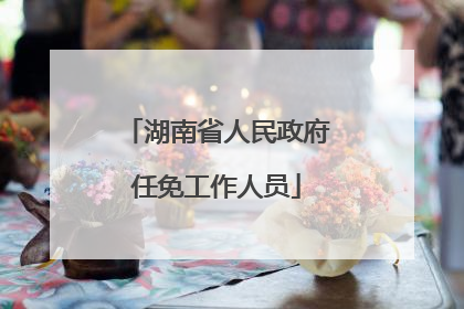 湖南省人民政府任免工作人员