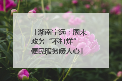 湖南宁远：周末政务“不打烊” 便民服务暖人心