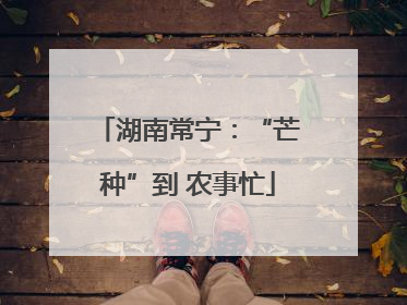 湖南常宁：“芒种”到 农事忙