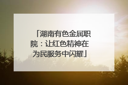 湖南有色金属职院：让红色精神在为民服务中闪耀