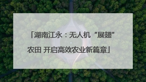 湖南江永：无人机“展翅”农田 开启高效农业新篇章