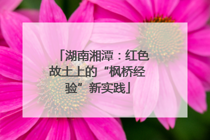 湖南湘潭：红色故土上的“枫桥经验”新实践