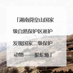 湖南舜皇山国家级自然保护区巡护发现国家二级保护动物——脆蛇蜥