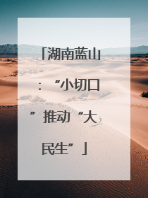 湖南蓝山：“小切口”推动“大民生”