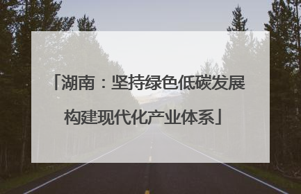 湖南：坚持绿色低碳发展 构建现代化产业体系
