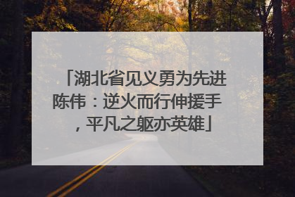 湖北省见义勇为先进陈伟：逆火而行伸援手，平凡之躯亦英雄