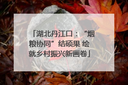 湖北丹江口：“烟粮协同”结硕果 绘就乡村振兴新画卷
