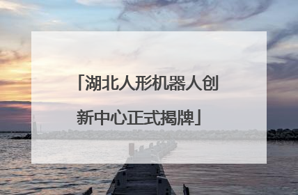 湖北人形机器人创新中心正式揭牌