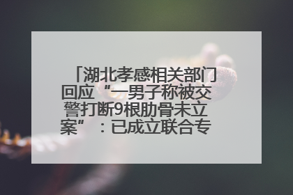 湖北孝感相关部门回应“一男子称被交警打断9根肋骨未立案”：已成立联合专班开展工作