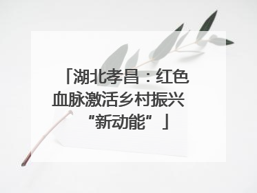 湖北孝昌：红色血脉激活乡村振兴“新动能”
