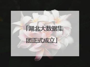 湖北大数据集团正式成立