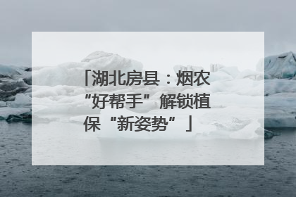 湖北房县：烟农“好帮手”解锁植保“新姿势”