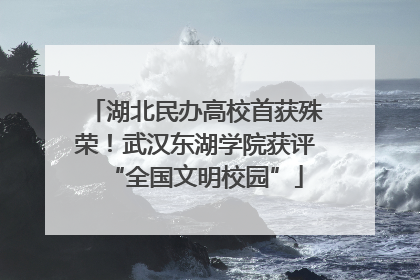 湖北民办高校首获殊荣！武汉东湖学院获评“全国文明校园”