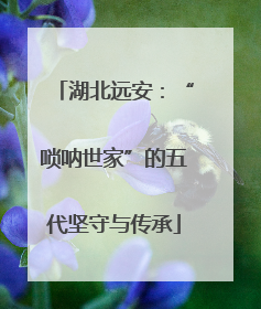 湖北远安：“唢呐世家”的五代坚守与传承