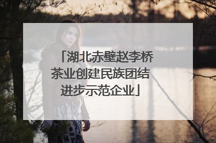 湖北赤壁赵李桥茶业创建民族团结进步示范企业