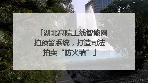 湖北高院上线智能网拍预警系统，打造司法拍卖“防火墙”