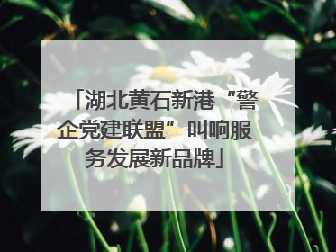 湖北黄石新港“警企党建联盟”叫响服务发展新品牌
