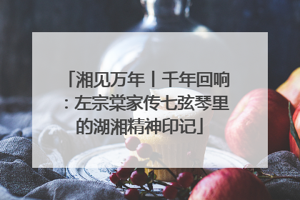 湘见万年丨千年回响：左宗棠家传七弦琴里的湖湘精神印记