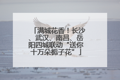 满城花香！长沙、武汉、南昌、岳阳四城联动“送你十万朵栀子花”