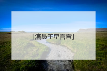 演员王星官宣