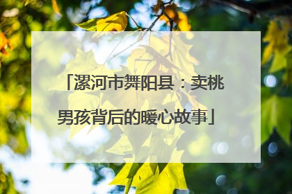 漯河市舞阳县：卖桃男孩背后的暖心故事