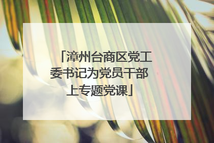 漳州台商区党工委书记为党员干部上专题党课