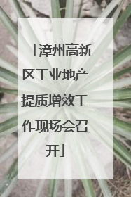 漳州高新区工业地产提质增效工作现场会召开