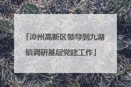 漳州高新区领导到九湖镇调研基层党建工作