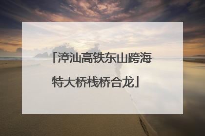 漳汕高铁东山跨海特大桥栈桥合龙