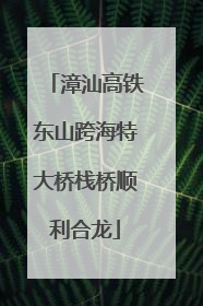 漳汕高铁东山跨海特大桥栈桥顺利合龙