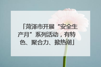 菏泽市开展“安全生产月”系列活动，有特色、聚合力、掀热潮