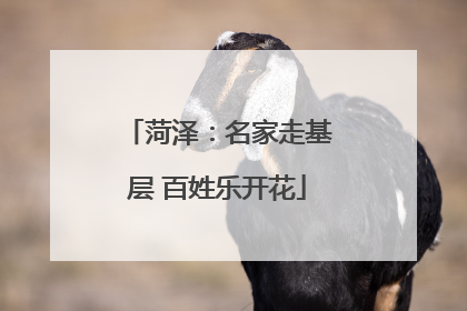 菏泽：名家走基层 百姓乐开花