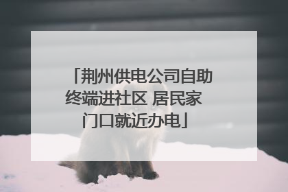 荆州供电公司自助终端进社区 居民家门口就近办电