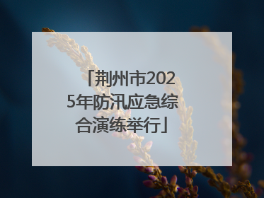 荆州市2025年防汛应急综合演练举行