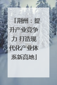 荆州：提升产业竞争力 打造现代化产业体系新高地