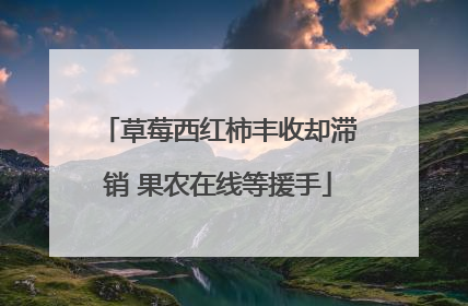 草莓西红柿丰收却滞销 果农在线等援手