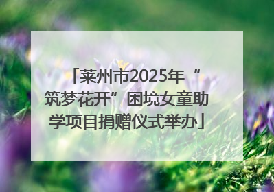 莱州市2025年“筑梦花开”困境女童助学项目捐赠仪式举办