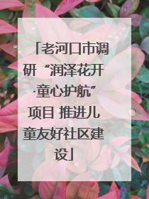 老河口市调研“润泽花开·童心护航”项目 推进儿童友好社区建设