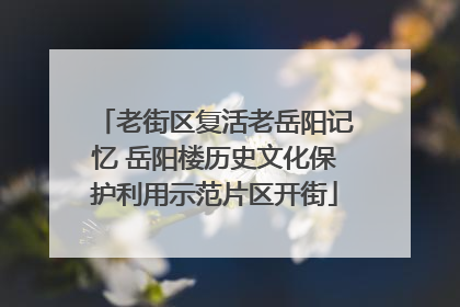 老街区复活老岳阳记忆 岳阳楼历史文化保护利用示范片区开街