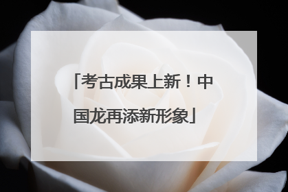 考古成果上新！中国龙再添新形象