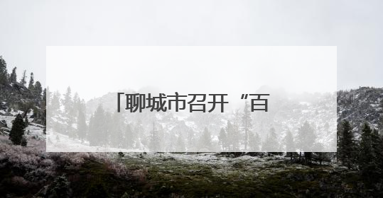 聊城市召开“百吨王”货车专项治理工作部署会议