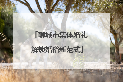 聊城市集体婚礼解锁婚俗新范式