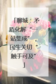 聊城：矛盾化解“一站集成”，民生关切“触手可及”